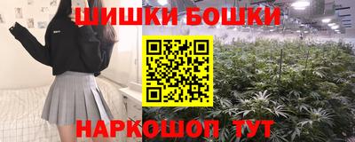 спайс Гатчина