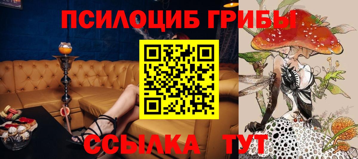 даркнет сайт  Вход с VPN  Псилоцибиновые грибы Magic Shrooms  Краснокаменск  Псилоцибиновые грибы прущие грибы 